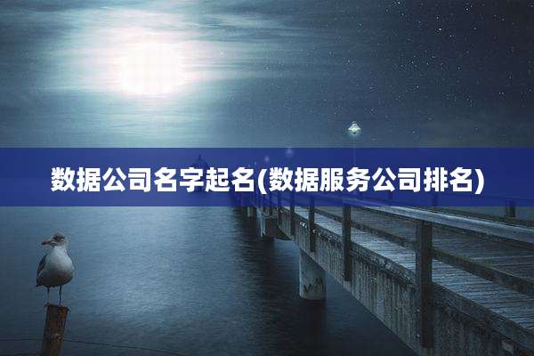 数据公司名字起名(数据服务公司排名)