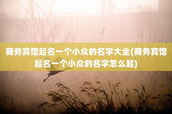 商务宾馆起名一个小众的名字大全(商务宾馆起名一个小众的名字怎么起)