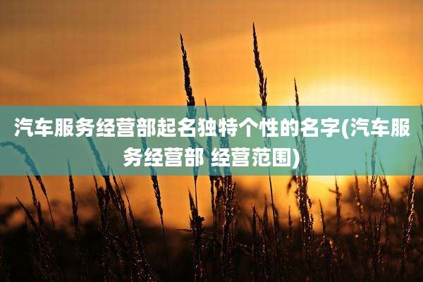 汽车服务经营部起名独特个性的名字(汽车服务经营部 经营范围)
