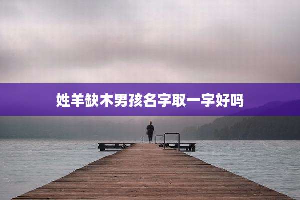姓羊缺木男孩名字取一字好吗