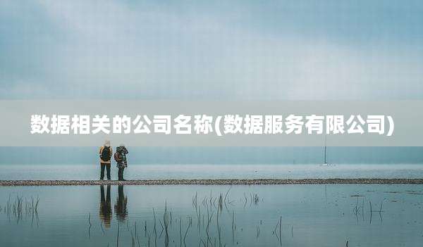 数据相关的公司名称(数据服务有限公司)