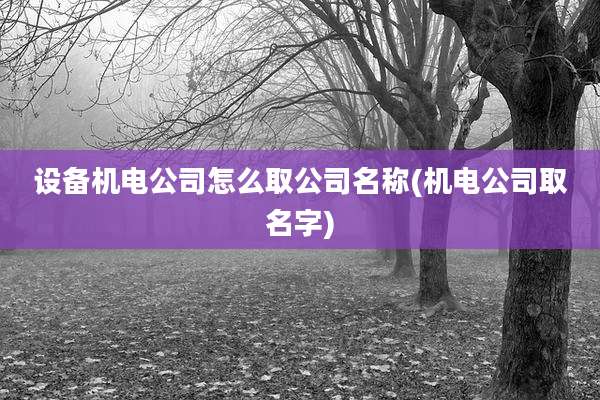 设备机电公司怎么取公司名称(机电公司取名字)