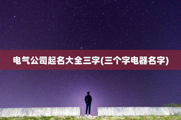 电气公司起名大全三字(三个字电器名字)