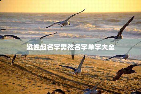 粱姓起名字男孩名字单字大全