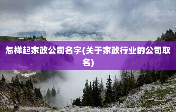 怎样起家政公司名字(关于家政行业的公司取名)