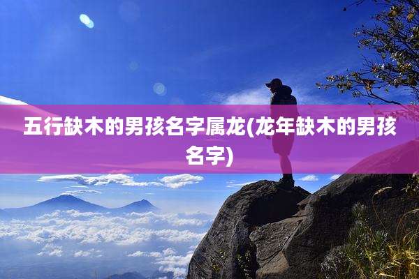 五行缺木的男孩名字属龙(龙年缺木的男孩名字)
