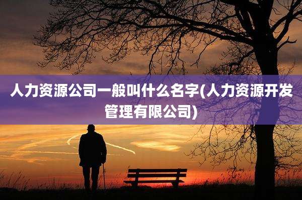 人力资源公司一般叫什么名字(人力资源开发管理有限公司)