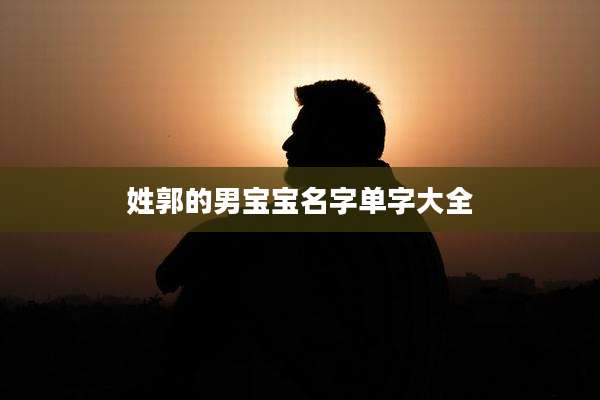 姓郭的男宝宝名字单字大全