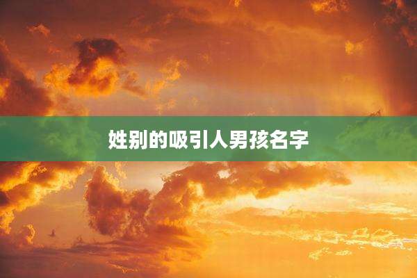 姓别的吸引人男孩名字