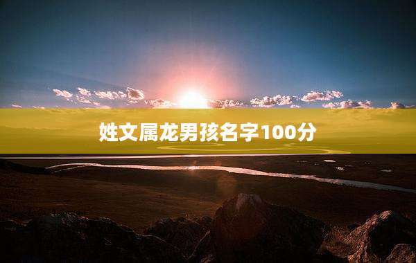 姓文属龙男孩名字100分