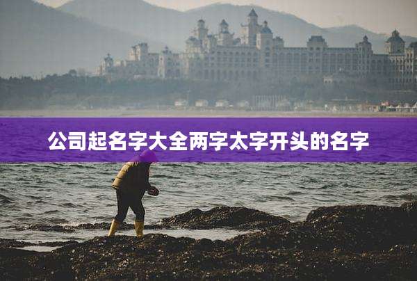 公司起名字大全两字太字开头的名字