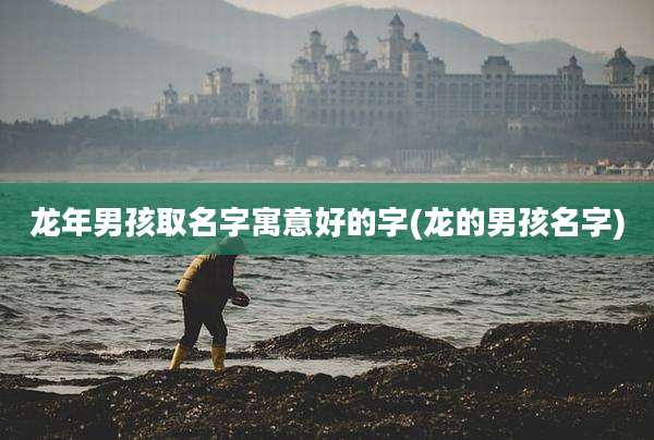 龙年男孩取名字寓意好的字(龙的男孩名字)