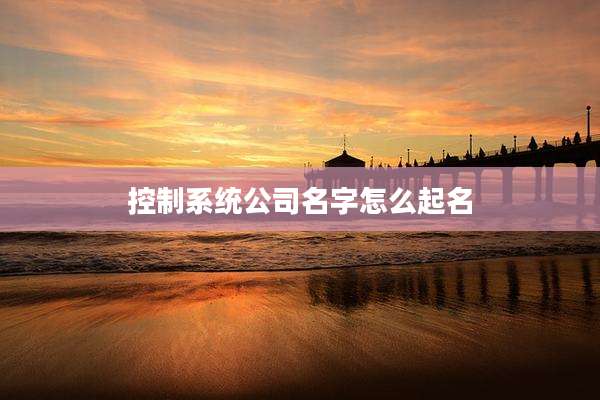 控制系统公司名字怎么起名