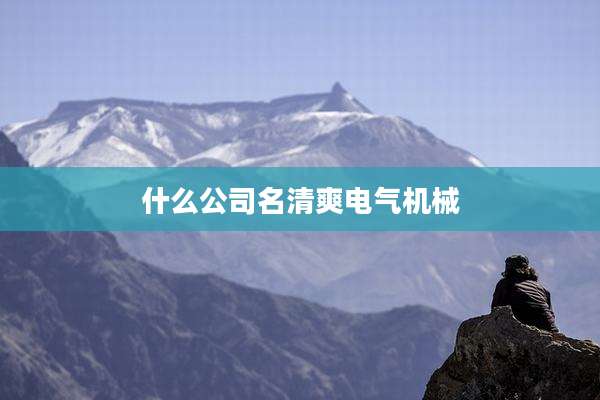 什么公司名清爽电气机械