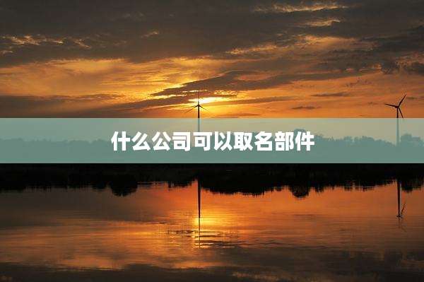 什么公司可以取名部件