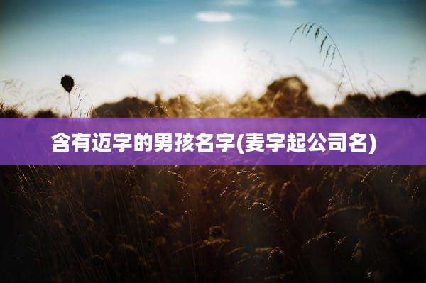 含有迈字的男孩名字(麦字起公司名)