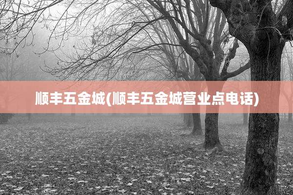 顺丰五金城(顺丰五金城营业点电话)