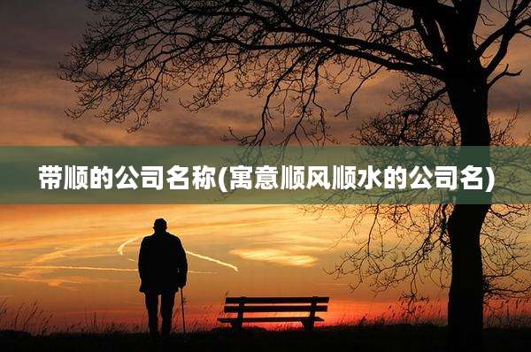 带顺的公司名称(寓意顺风顺水的公司名)