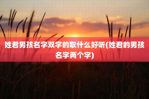 姓君男孩名字双字的取什么好听(姓君的男孩名字两个字)