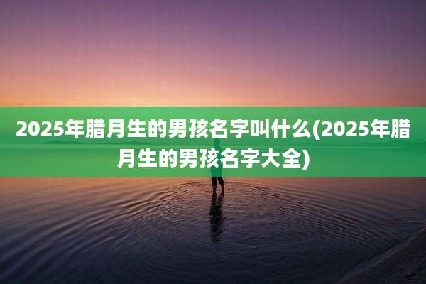2025年腊月生的男孩名字叫什么(2025年腊月生的男孩名字大全)