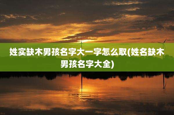 姓实缺木男孩名字大一字怎么取(姓名缺木男孩名字大全)