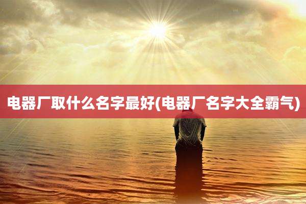 电器厂取什么名字最好(电器厂名字大全霸气)