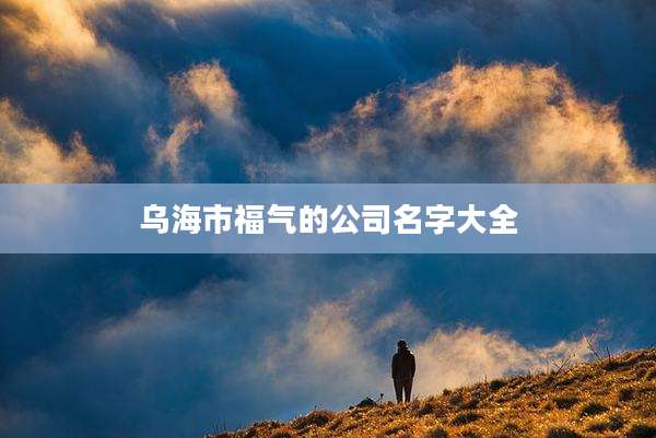 乌海市福气的公司名字大全