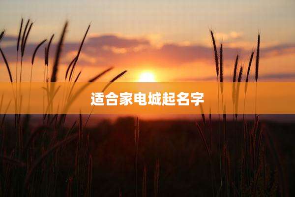 适合家电城起名字