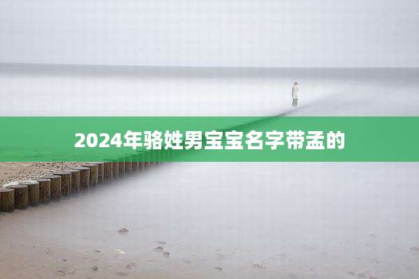 2024年骆姓男宝宝名字带孟的
