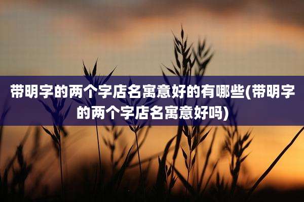 带明字的两个字店名寓意好的有哪些(带明字的两个字店名寓意好吗)