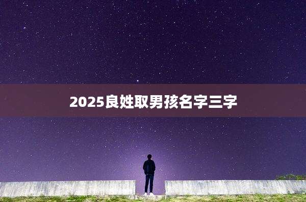 2025良姓取男孩名字三字