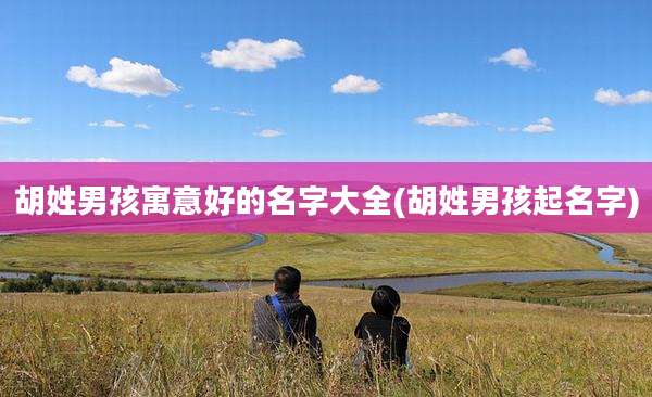 胡姓男孩寓意好的名字大全(胡姓男孩起名字)