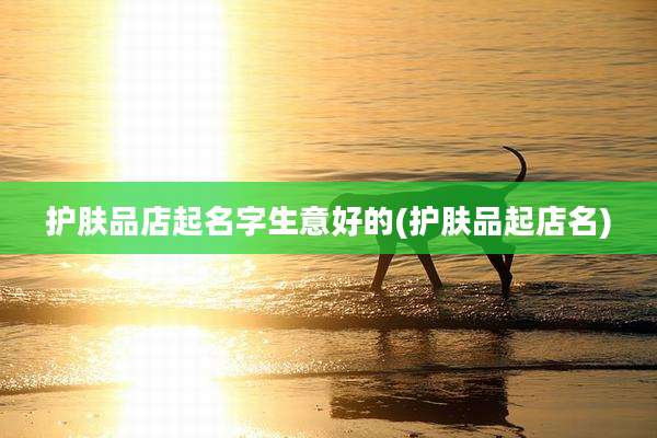 护肤品店起名字生意好的(护肤品起店名)
