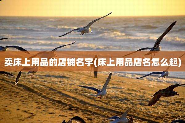 卖床上用品的店铺名字(床上用品店名怎么起)