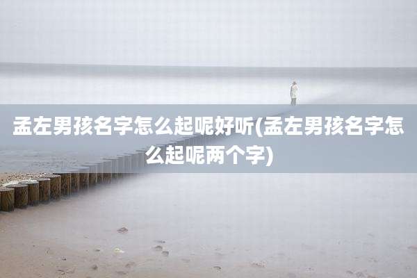 孟左男孩名字怎么起呢好听(孟左男孩名字怎么起呢两个字)