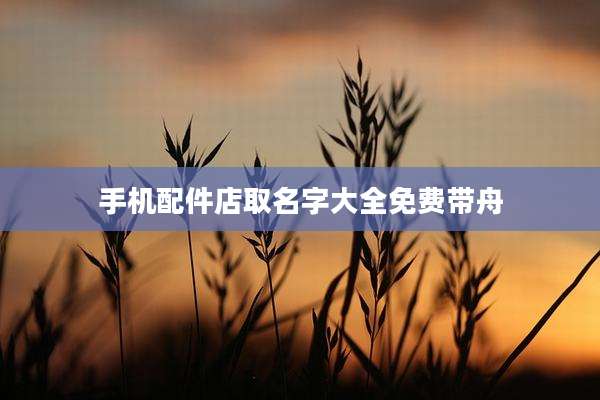 手机配件店取名字大全免费带舟