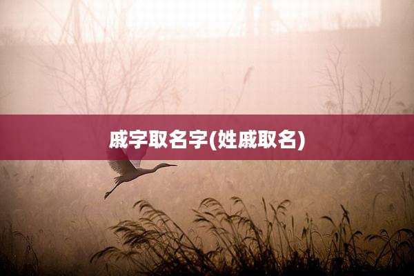 戚字取名字(姓戚取名)