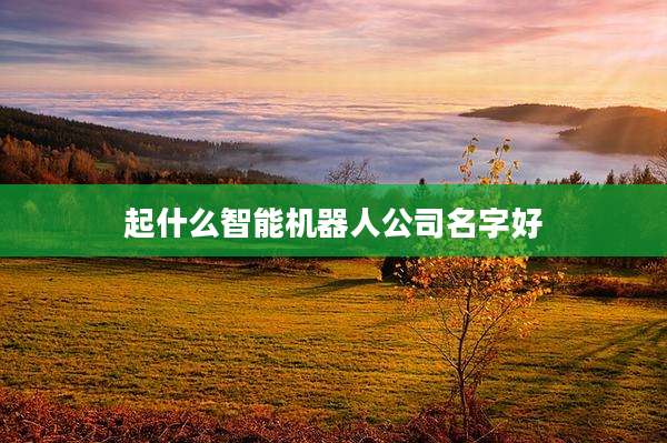 起什么智能机器人公司名字好