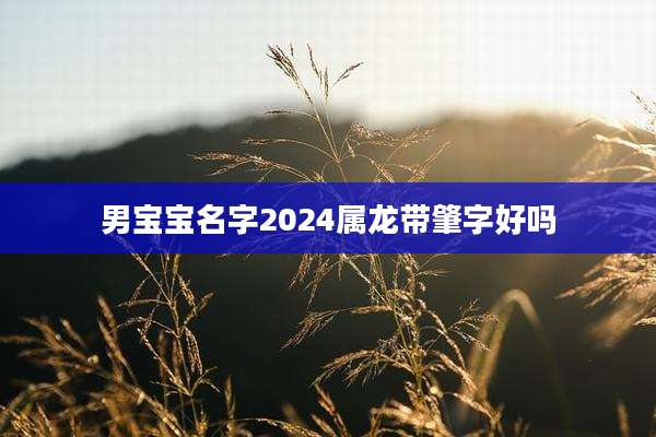 男宝宝名字2024属龙带肇字好吗