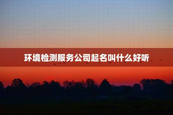 环境检测服务公司起名叫什么好听