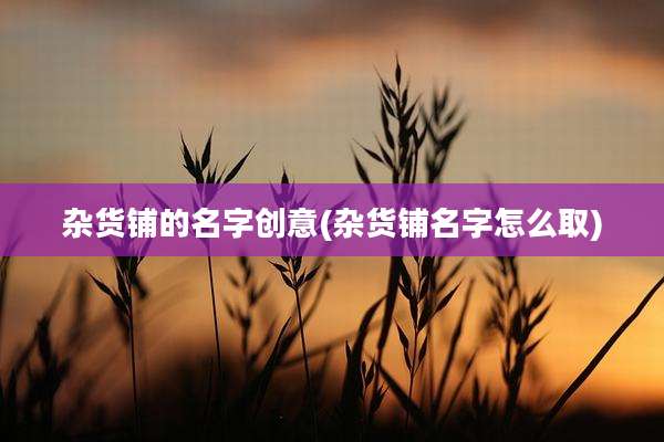 杂货铺的名字创意(杂货铺名字怎么取)