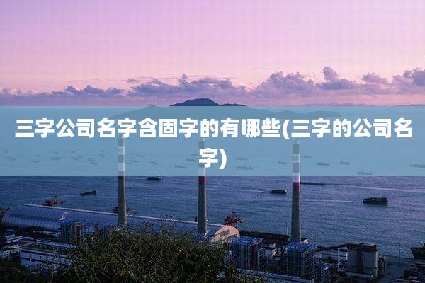 三字公司名字含固字的有哪些(三字的公司名字)