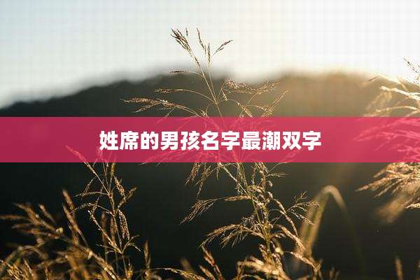 姓席的男孩名字最潮双字