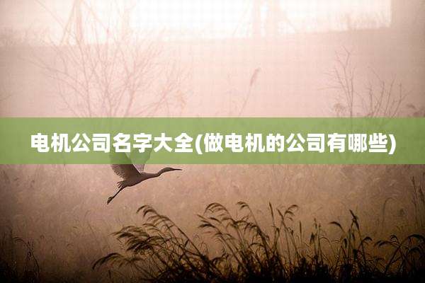电机公司名字大全(做电机的公司有哪些)