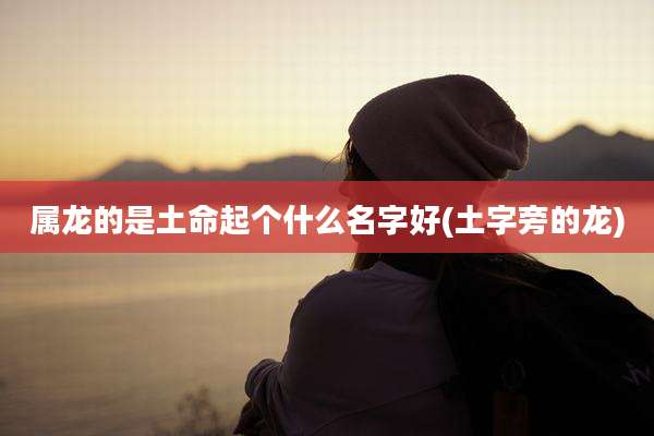 属龙的是土命起个什么名字好(土字旁的龙)