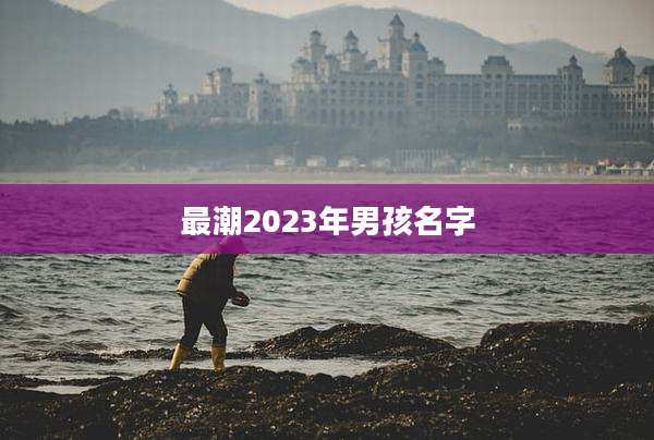 最潮2023年男孩名字