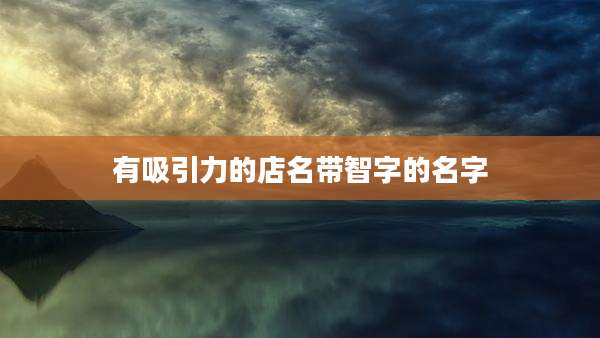 有吸引力的店名带智字的名字