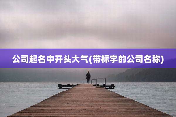 公司起名中开头大气(带标字的公司名称)
