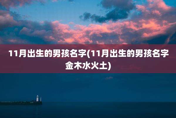 11月出生的男孩名字(11月出生的男孩名字金木水火土)