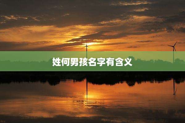 姓何男孩名字有含义